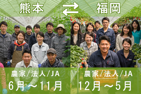 九州での産地間リレー