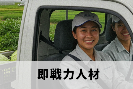 自動車を運転する外国人農業人材